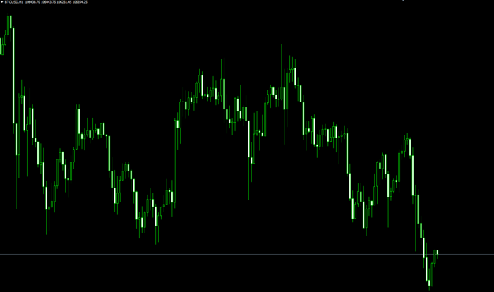 仮想通貨のチャートを表示させて取引する