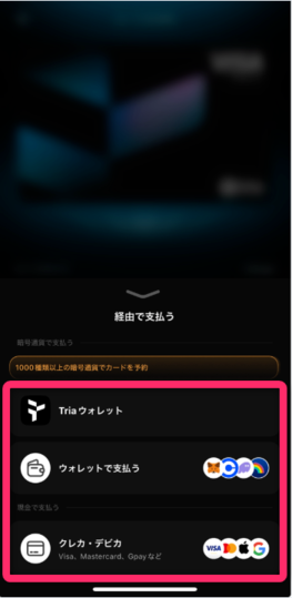 支払方法を選択する