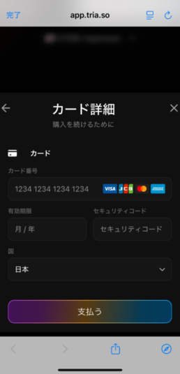 支払情報を入力して「支払う」をクリックする